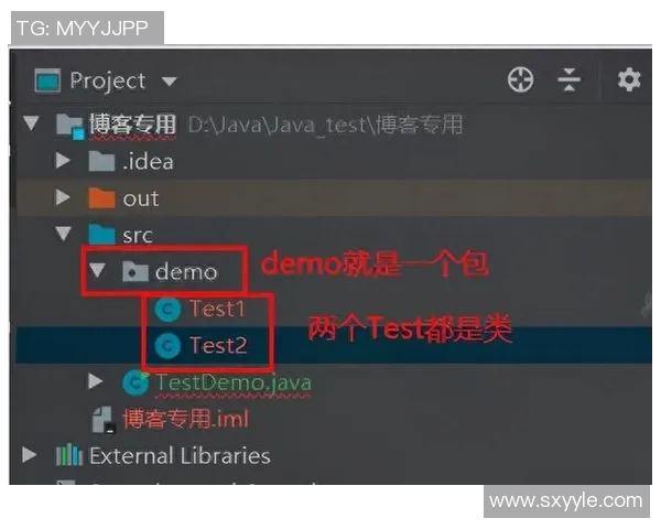 CSGO巨献：深入分析V5战队在比赛中的耐力与表现秘诀