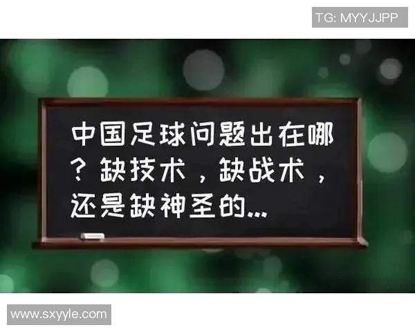 南京足球队与武汉足球队赛后分析实力对比与战术探讨